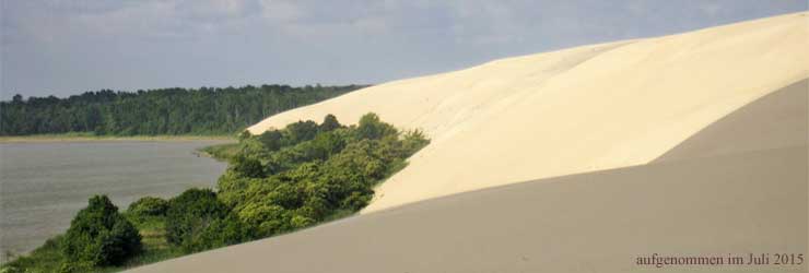 Kurische Nehrung Düne