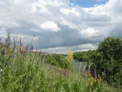 Wildwasserpaddeln