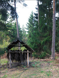 Wandern auf der Kurischen Nehrung 01
