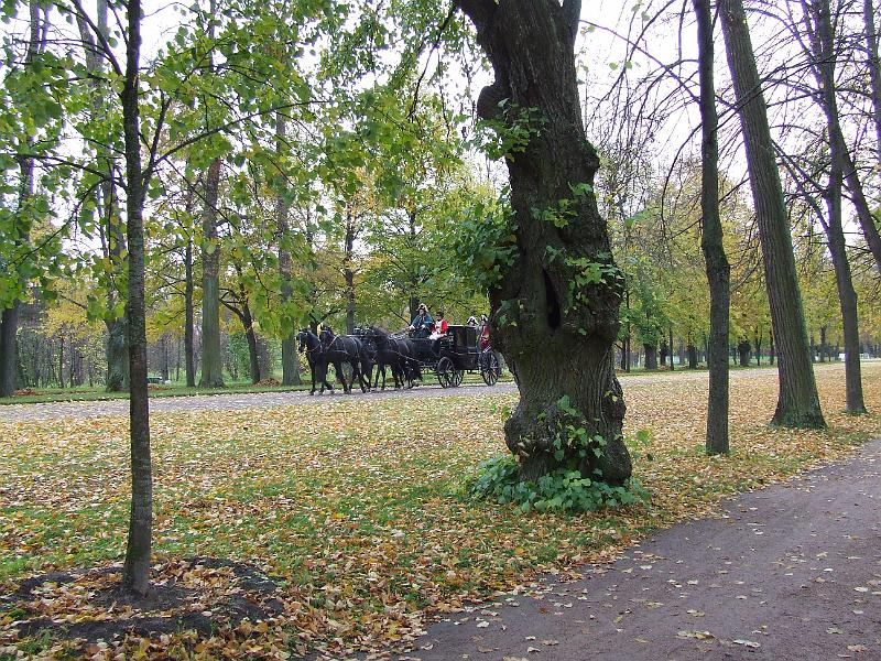 DSCF1176.JPG