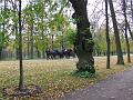 DSCF1176