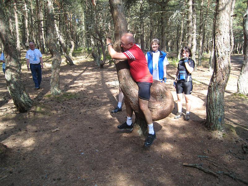 IMG_3286.jpg